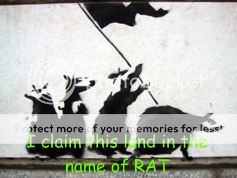 rats-1.jpg