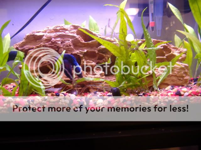 DSCF2984.jpg