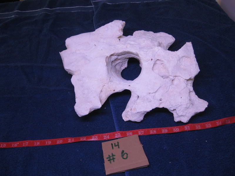 013-9.jpg