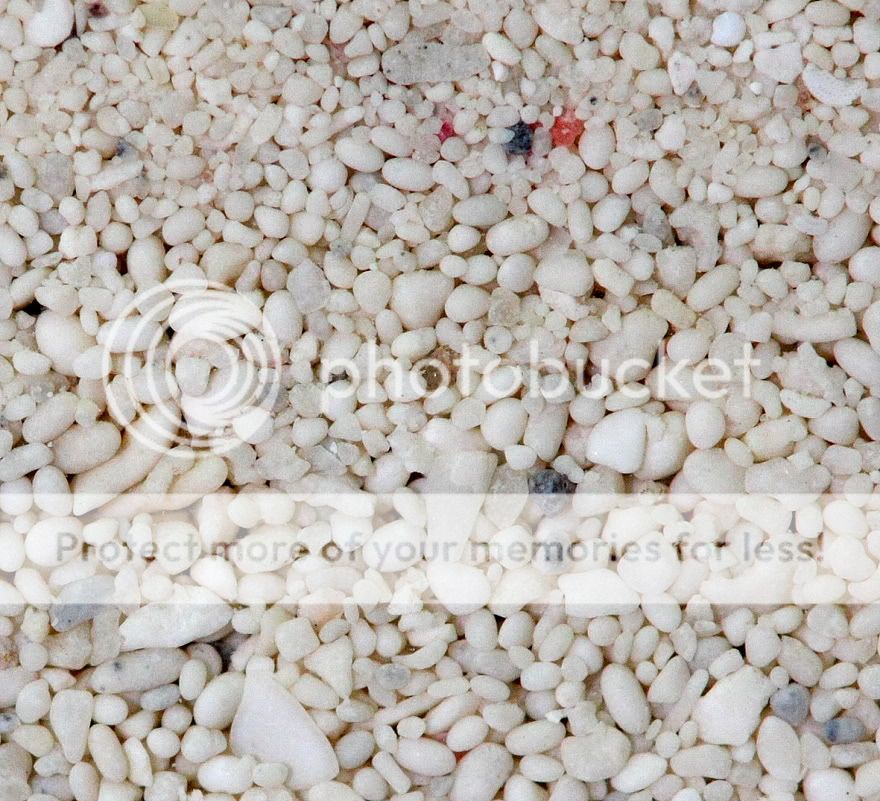 sandcomparison.jpg