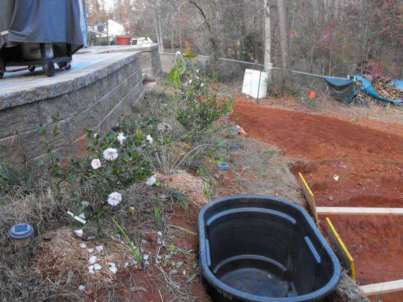 November2010049.jpg