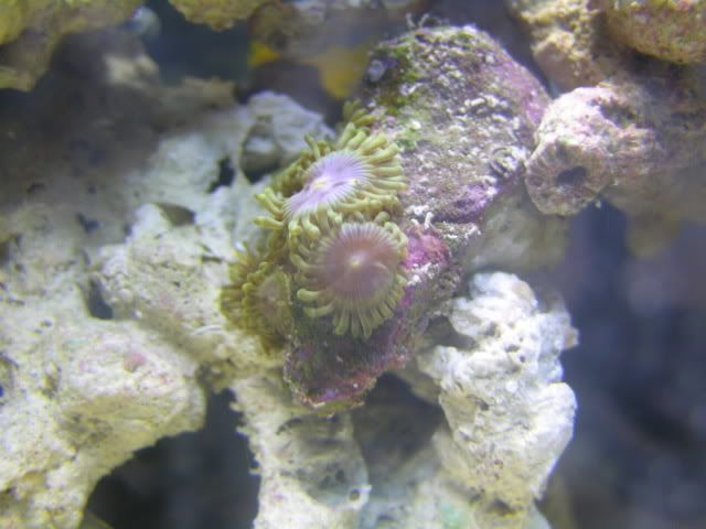 010-1.jpg