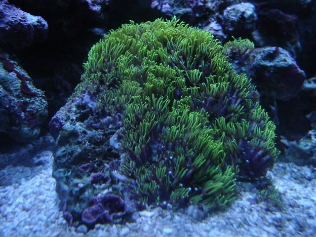 DSC09015.jpg