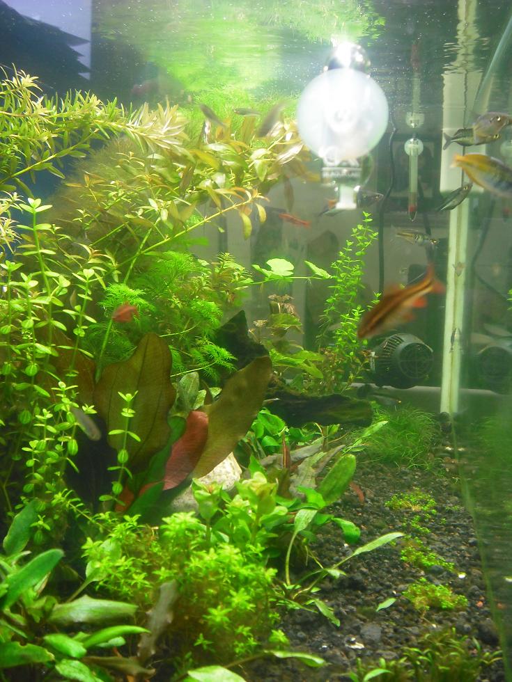 DSCF0603.JPG