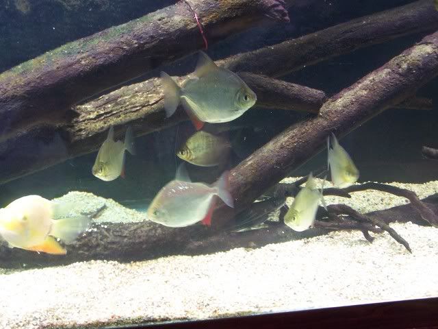 100_1478.jpg