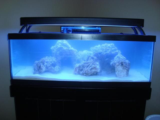 tank024.jpg
