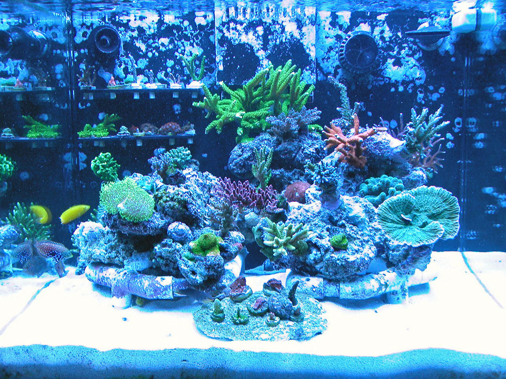 3745360298_75c81f58f0_o.jpg