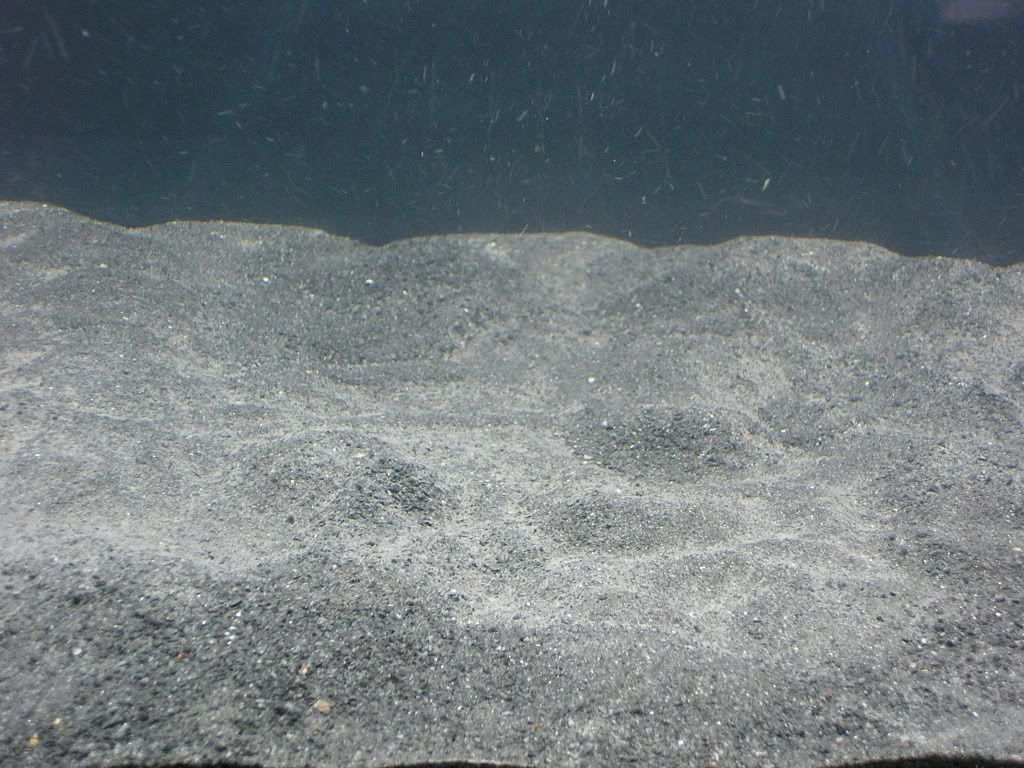 Picture289.jpg