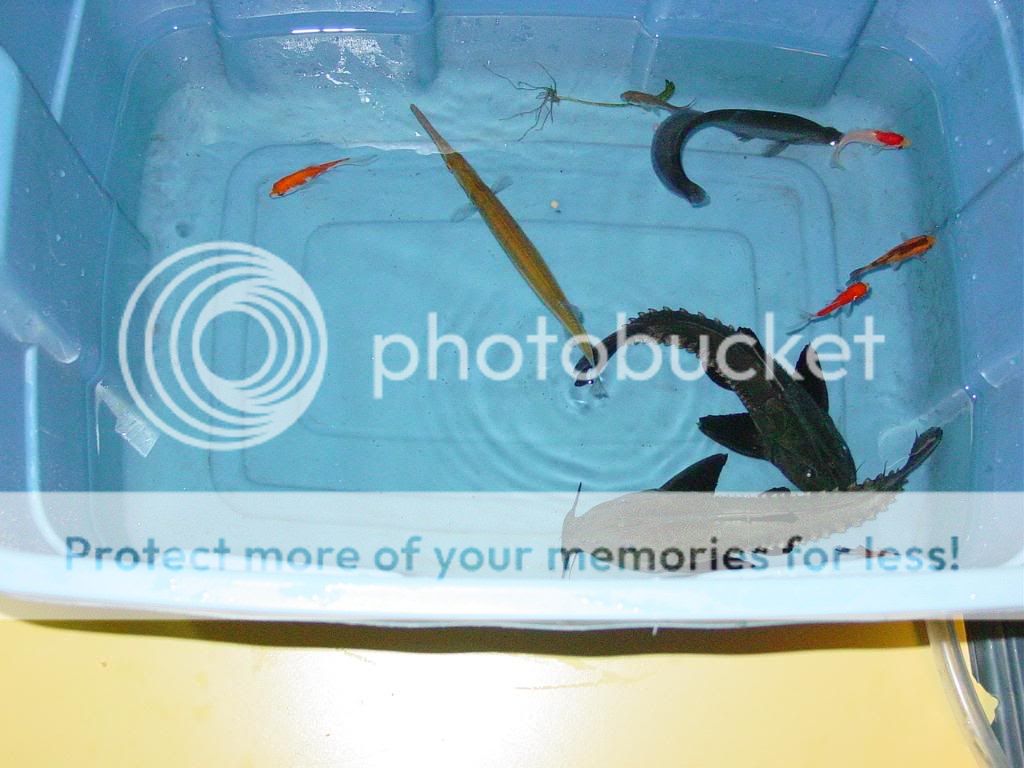 DSC08953.jpg
