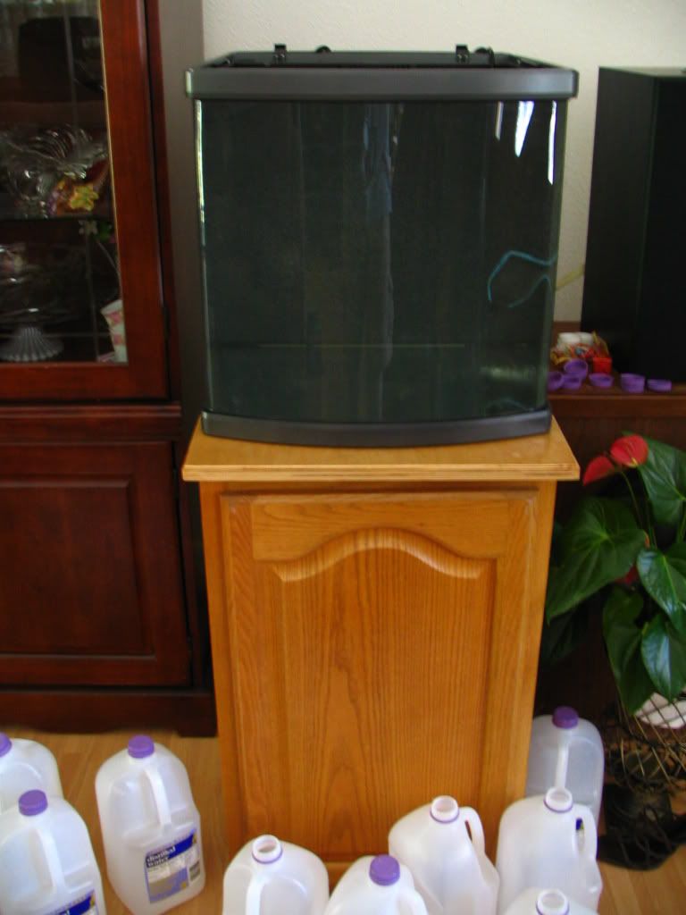 Picture1134.jpg