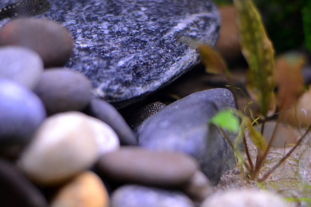 DSC_0566.jpg