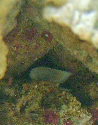 DSC00012-1.jpg