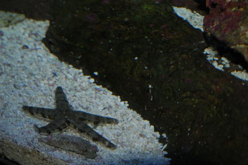DSC_0058.jpg