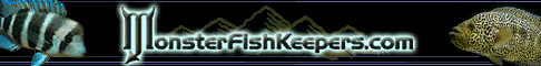 aca2007sponsor.gif