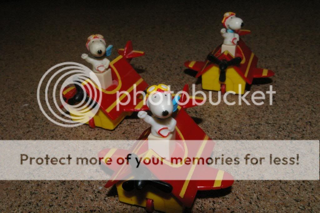 IMGP6522.jpg