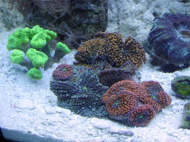P1010006-23.jpg