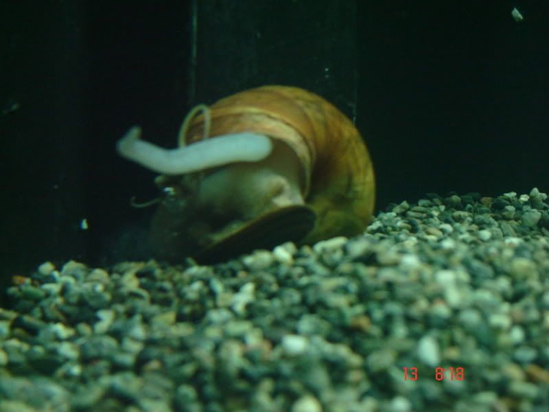 DSC03109.jpg