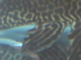 IMG00579.jpg