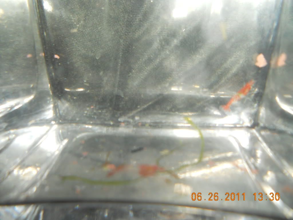 DSCN4965.jpg