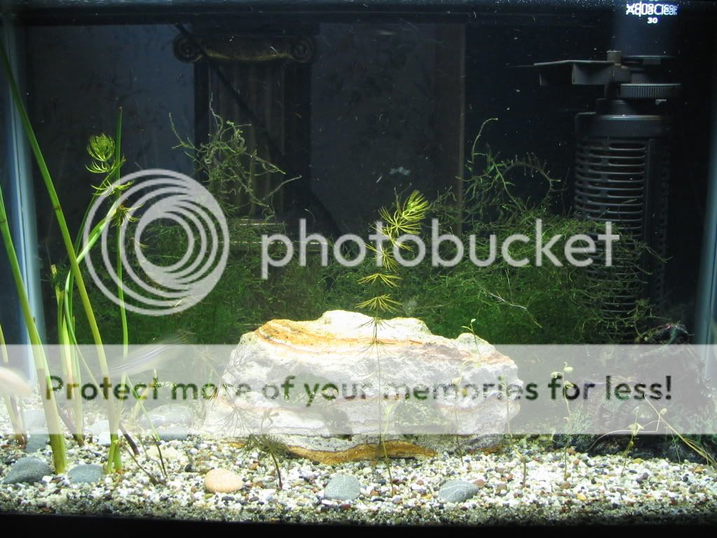 Picture038.jpg
