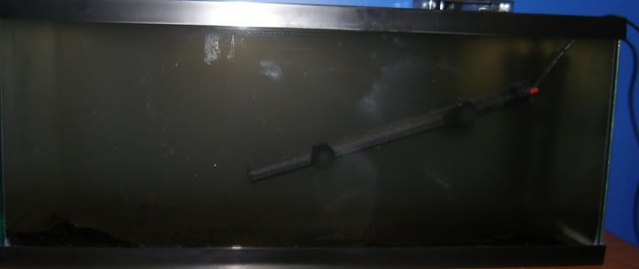 20-gal-long.jpg