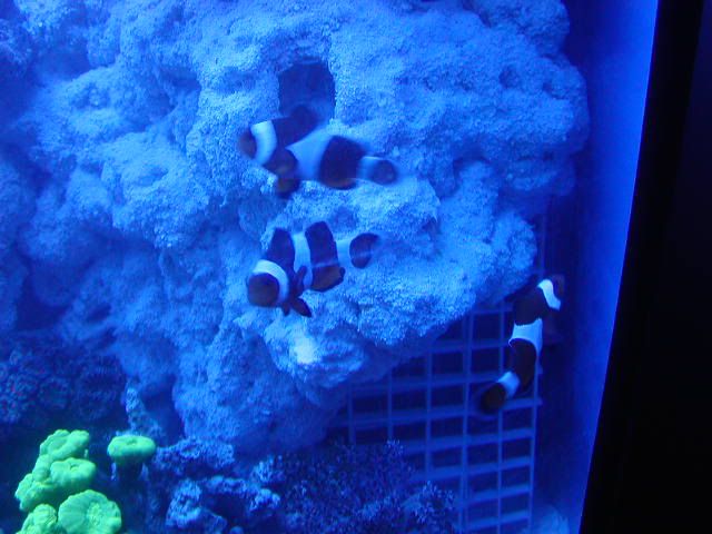 P1010009-22.jpg