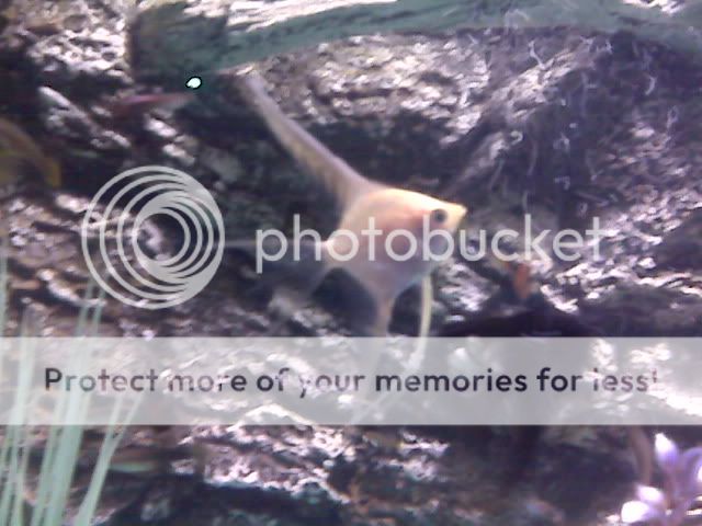 IMG00058.jpg