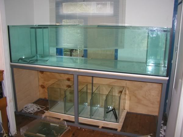 MyTank001.jpg