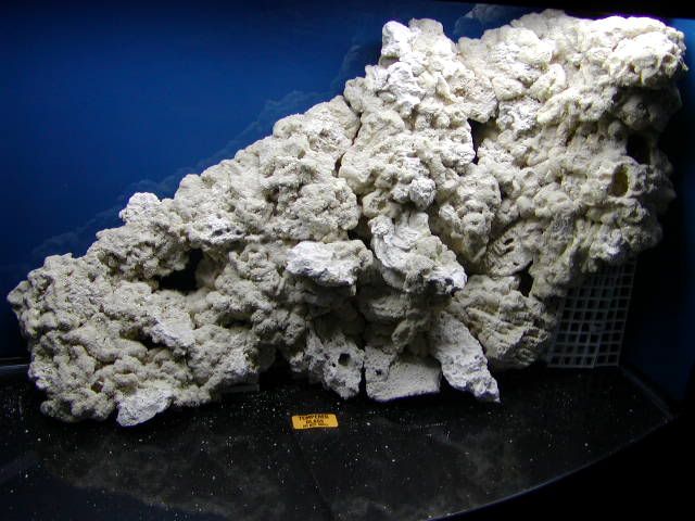 P1010005-23.jpg