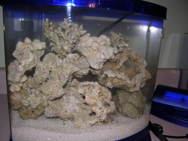 123.jpg