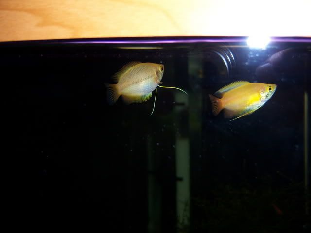100_3082.jpg