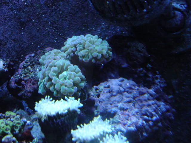 DSC09022.jpg