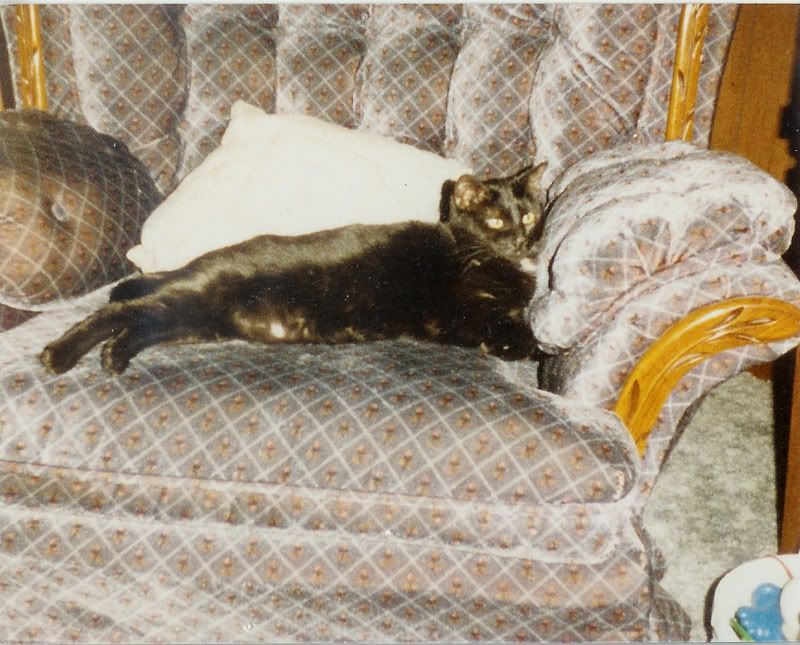 penelope5.jpg
