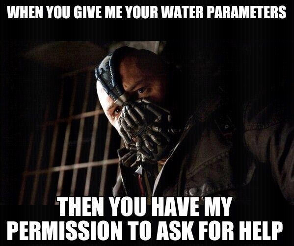 PermissiveBane.jpg