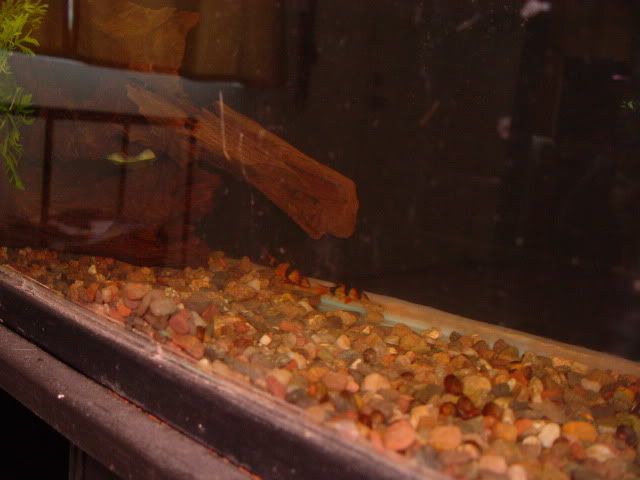 DSC03923.jpg