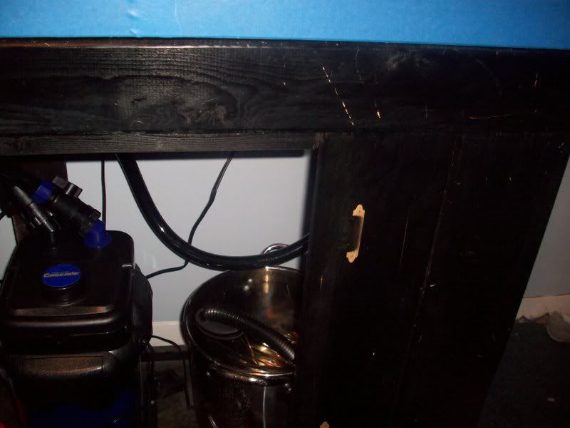 tank2.jpg
