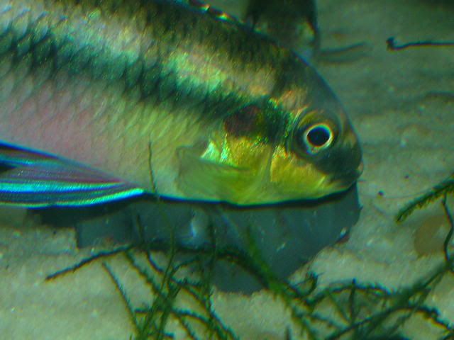 DSCN7752.jpg