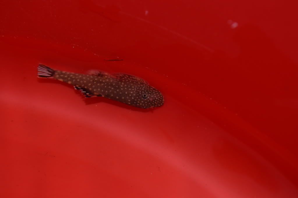 DSC_0446.jpg