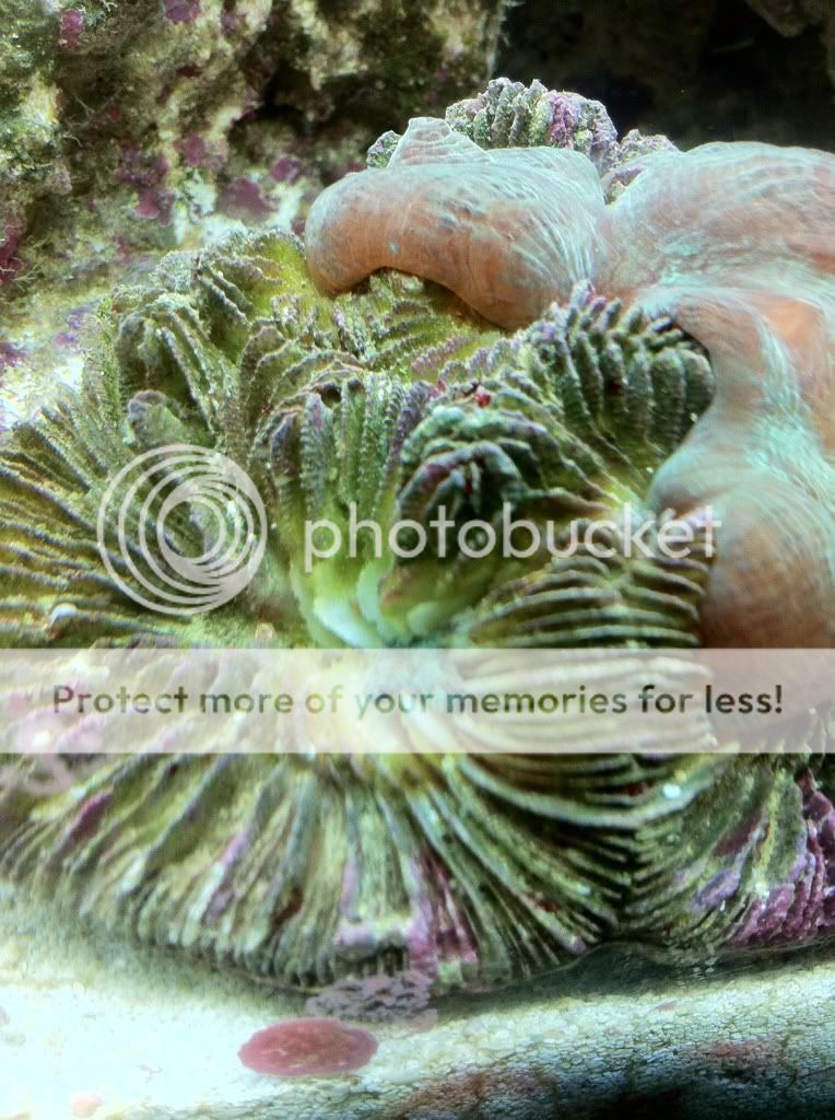 9d655f7e.jpg