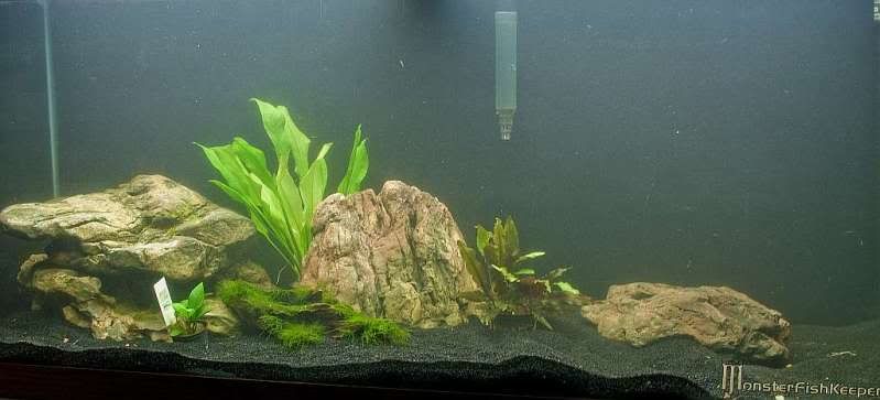 Aquascape.jpg