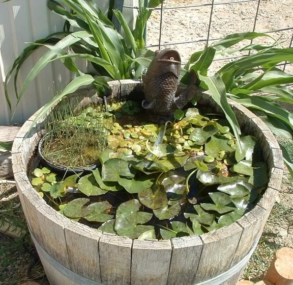 Barrel2-09-03.jpg