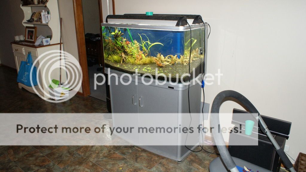 Aquariumstuff008.jpg
