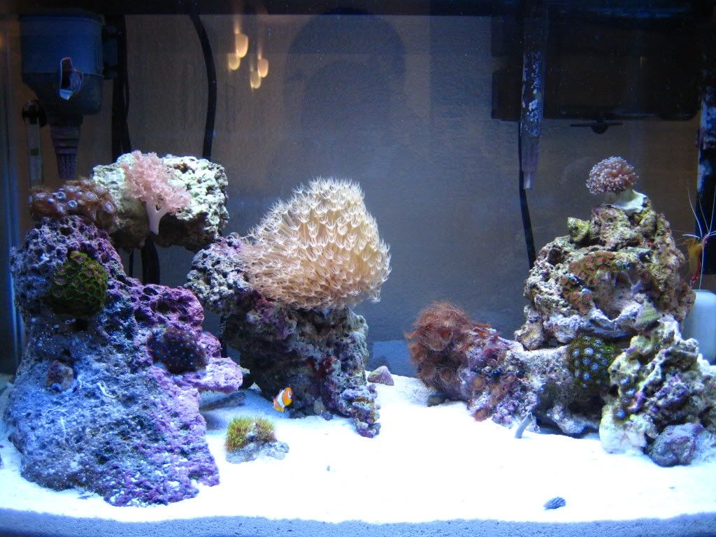 IMG_1163.jpg