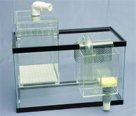 wet-dry-sump.jpg