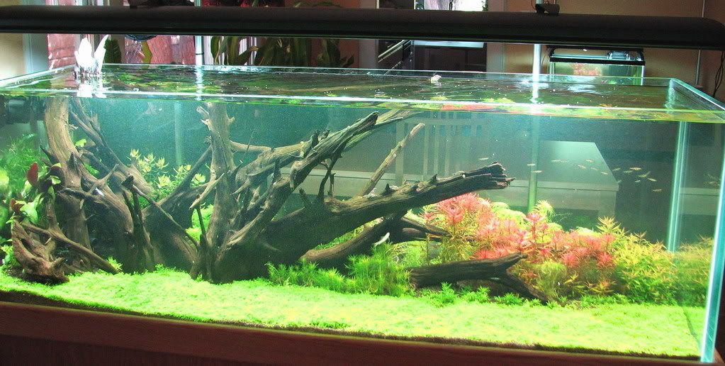 resizedfull180week4.jpg