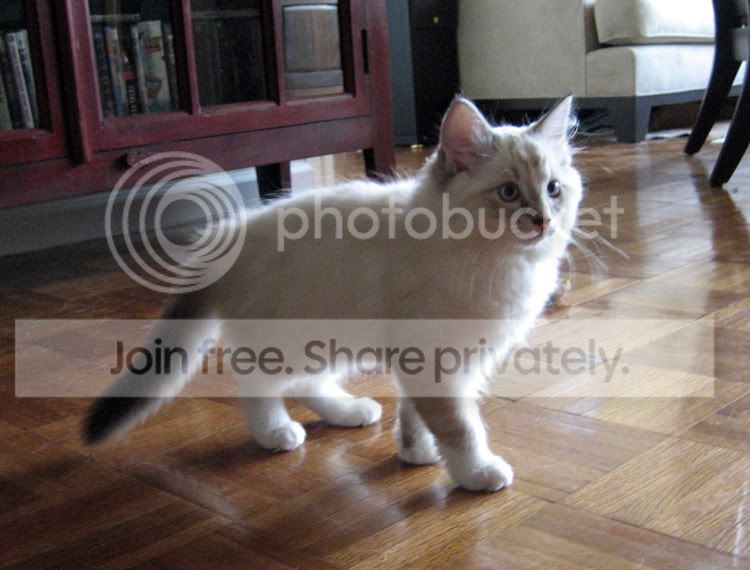 IMG_1626_sm.jpg