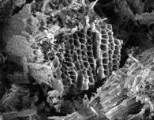 Activated-carbon.jpg