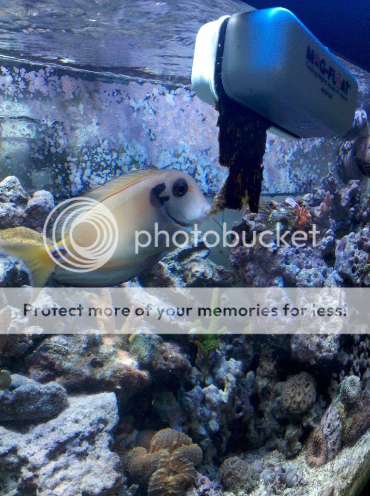 IMG_20120727_111324.jpg