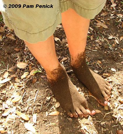 Dirty%20feet.JPG