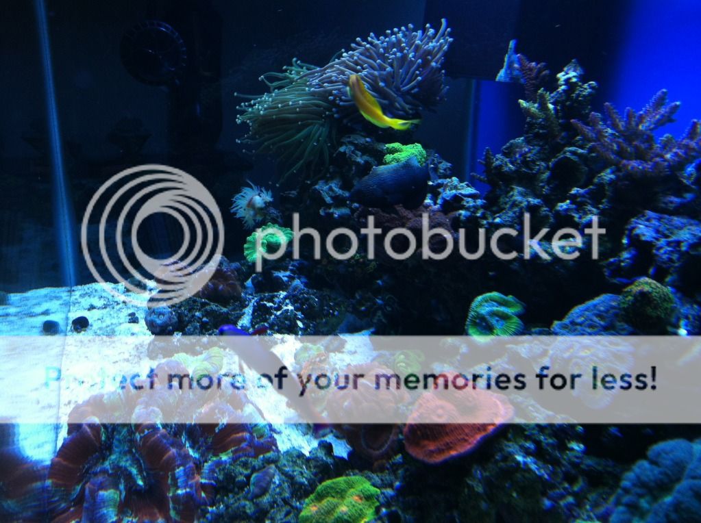 IMG_3402.jpg